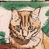 MAKOOTO