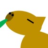 Kapibarakko