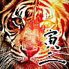 とらさぶ